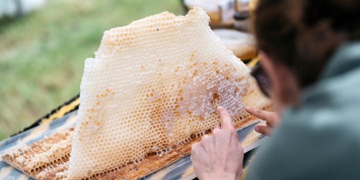 Ein Mann betrachtet eine Bienenwabe beim Umwelttag 2024