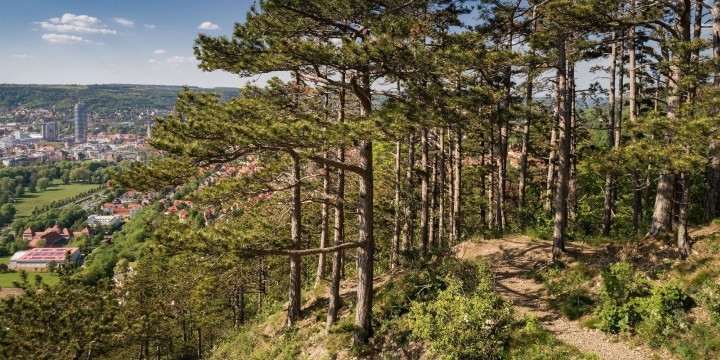 Blick auf Jena von der SaaleHorizontale in den Kernbergen  ©JenaKultur, Roman Möbius