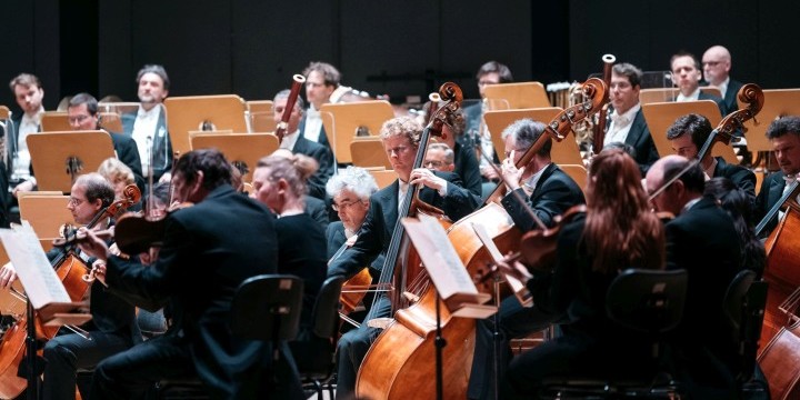 Musiker:innen im Orchester der Jenaer Philharmonie
