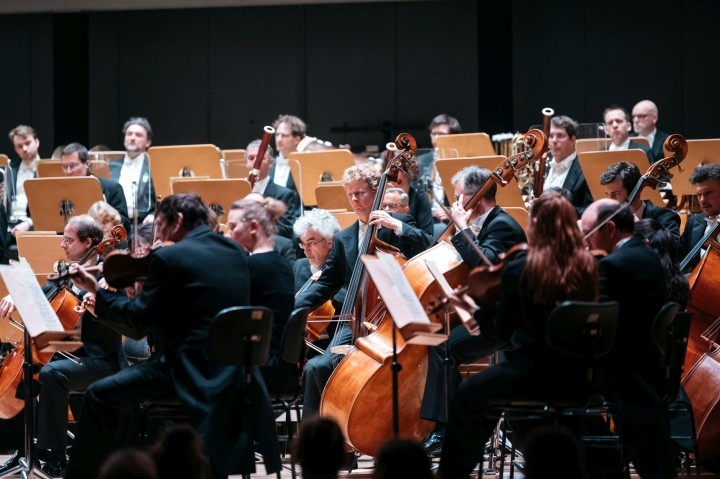 Musiker:innen im Orchester der Jenaer Philharmonie beim Spielen