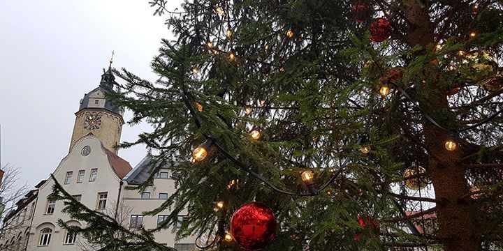 Die neue Beleuchtung am Weihnachtsbaum auf dem Marktplatz Jena  ©JenaKultur