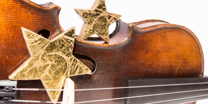 Violine mit Weihnachtssternen  ©Pixabay, Bernhard Hayo