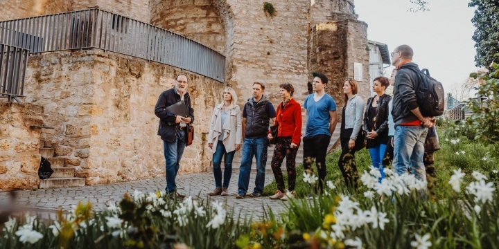 Eine Stadtführung steht am Jenaer Pulverturm, im Vordergrund sieht man Frühlingsblüher