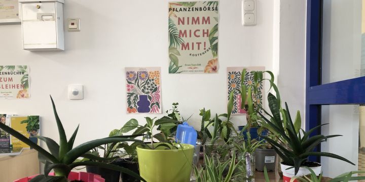 Pflanzenbörse Tisch mit Pflanzen