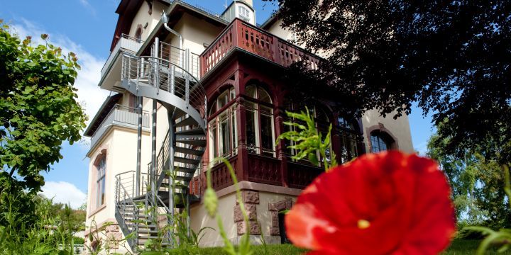 Villa Rosenthal Außenansicht mit Mohnblüte im Vordergrund