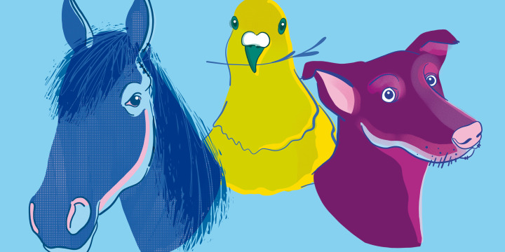 Zeichnung eines Pferds, einer Taube und eines Hundes
