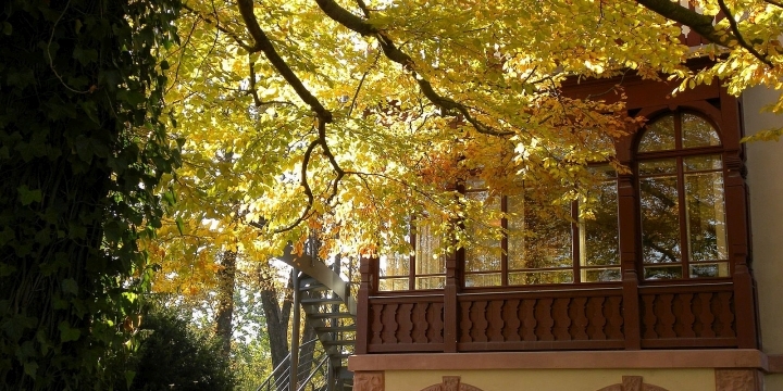 Villa Rosenthal Fenster mit Herbstlaub