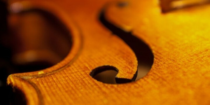 Detail einer Violine