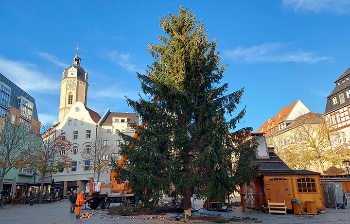 Weihnachtsbaum auf dem Jenaer Weihnachtsmarkt 2022