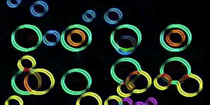 Motiv bunte Kreise auf schwarzem Grund