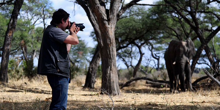Ein Fotograf fotografiert einen Elefanten in Afrika.