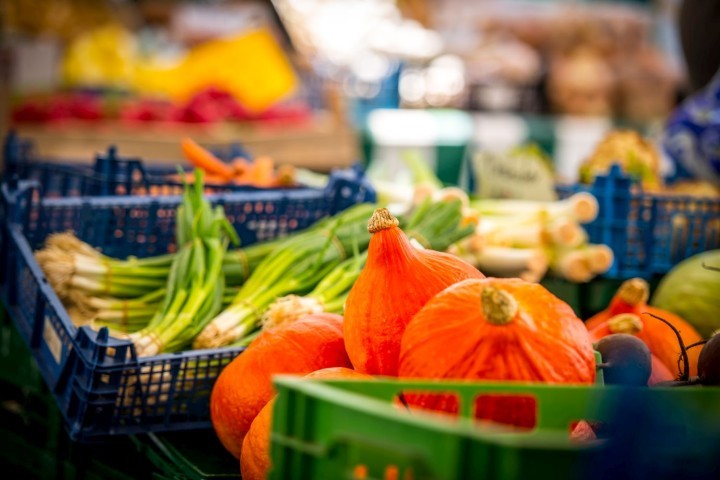 Stand auf dem Jenaer Wochenmarkt mit Kürbis und Lauchzwiebeln