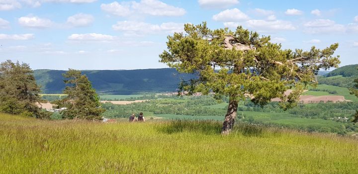 SaaleHorizontale, Weitblick ins Grüne