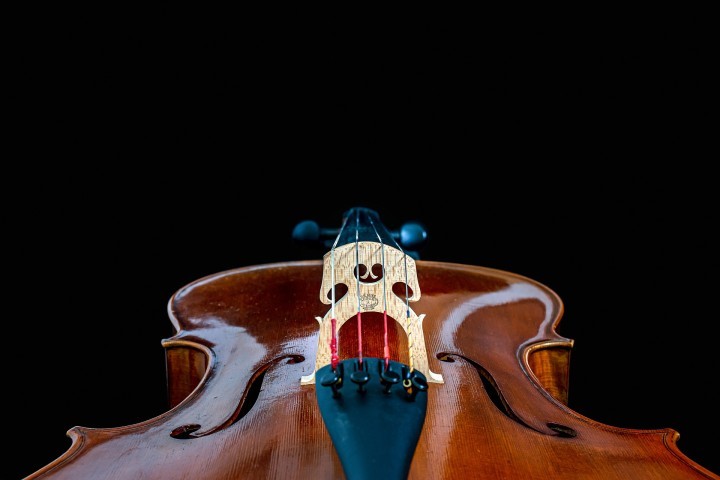 Violine